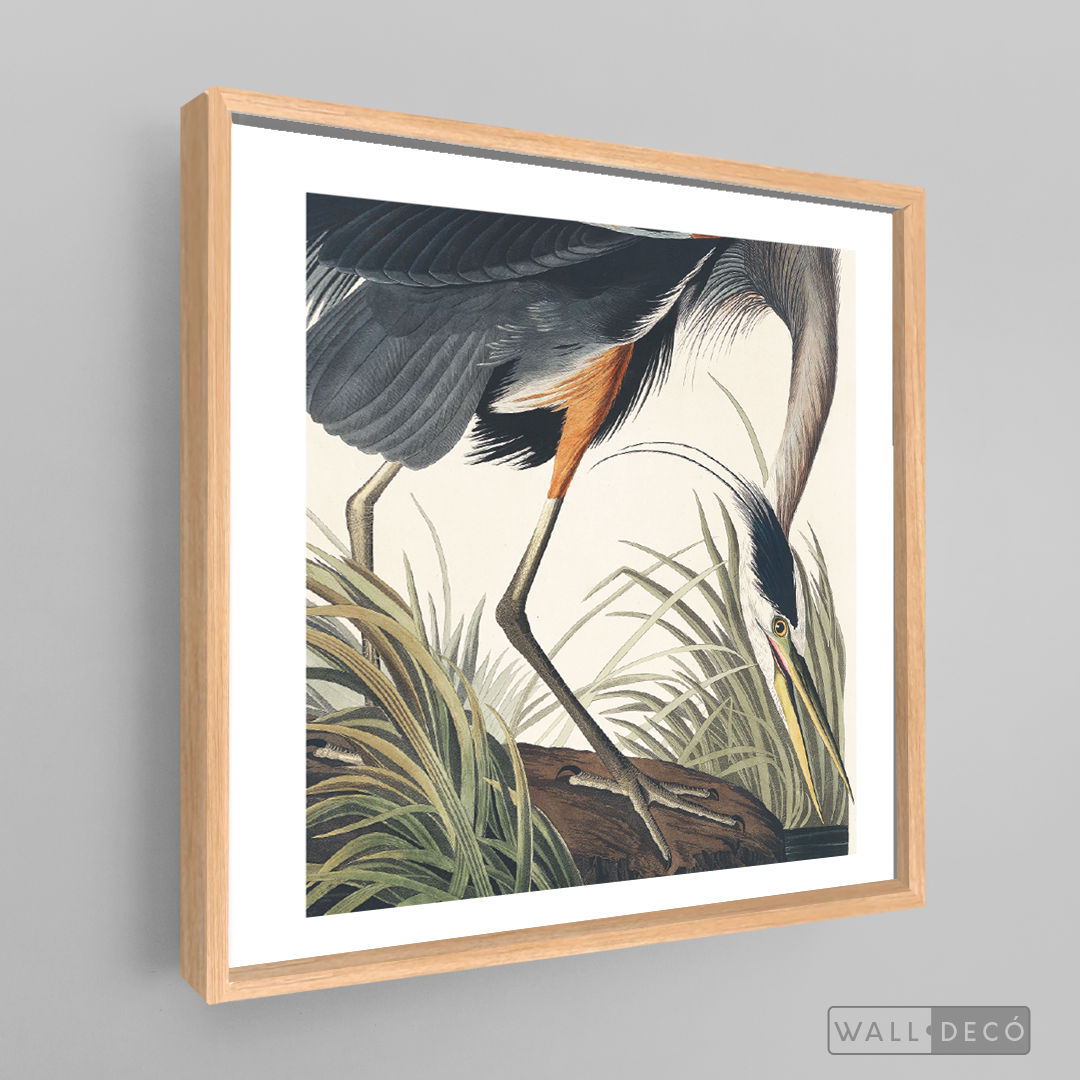 Cuadro Aves Garza