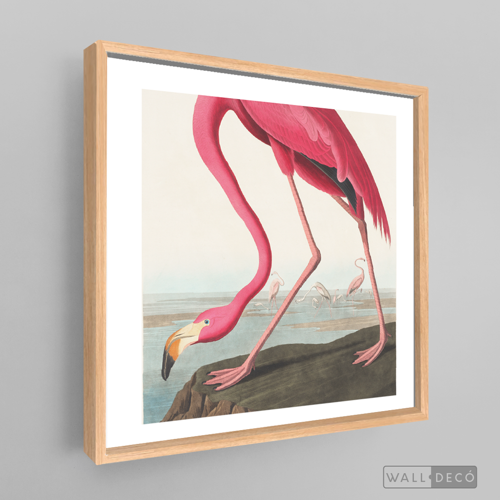 Cuadro Aves Flamenco Mayor