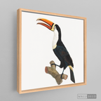 Cuadro Aves Tucan Colombiano 1