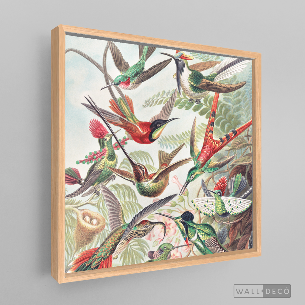 Cuadro Aves Colibríes