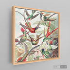 Cuadro Aves Colibríes