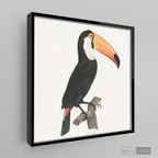 Cuadro Aves Tucan Colombiano 3