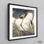 Cuadro Aves Garza