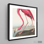 Cuadro Aves Flamenco Mayor