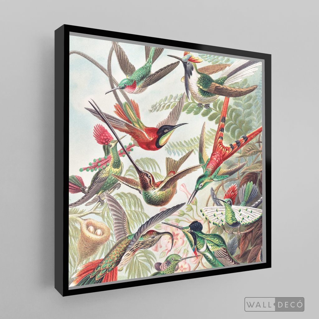 Cuadro Aves Colibríes