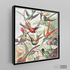 Cuadro Aves Colibríes