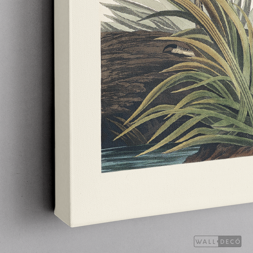 Cuadro Aves Garza
