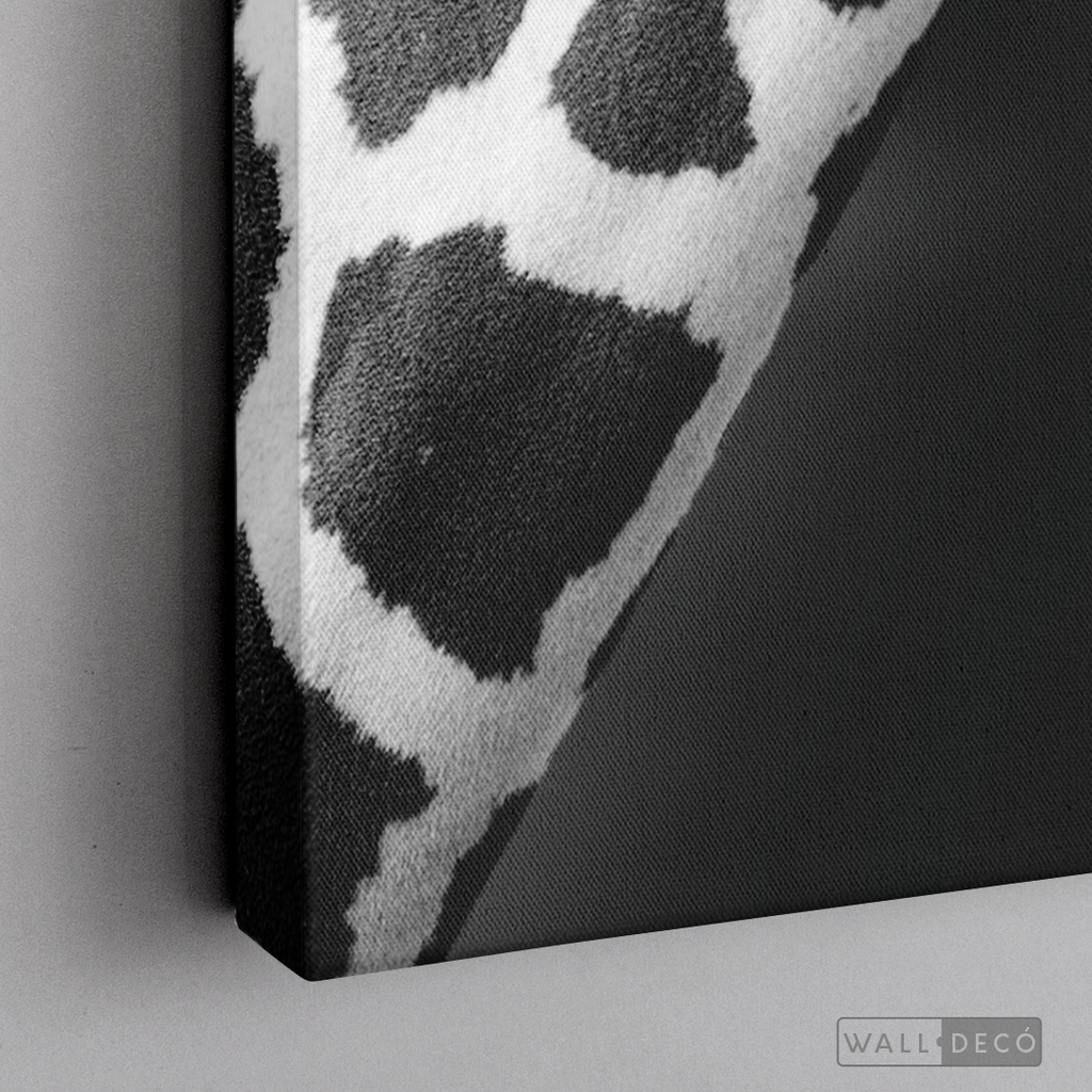 Cuadro Animales Jirafa B/N