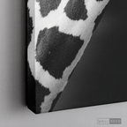 Cuadro Animales Jirafa B/N