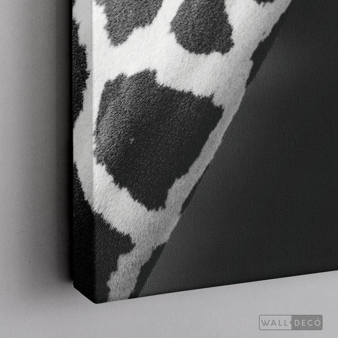 Cuadro Animales Jirafa B/N