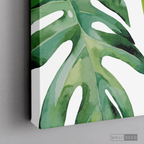 Cuadro Botánico Monstera Deliciosa