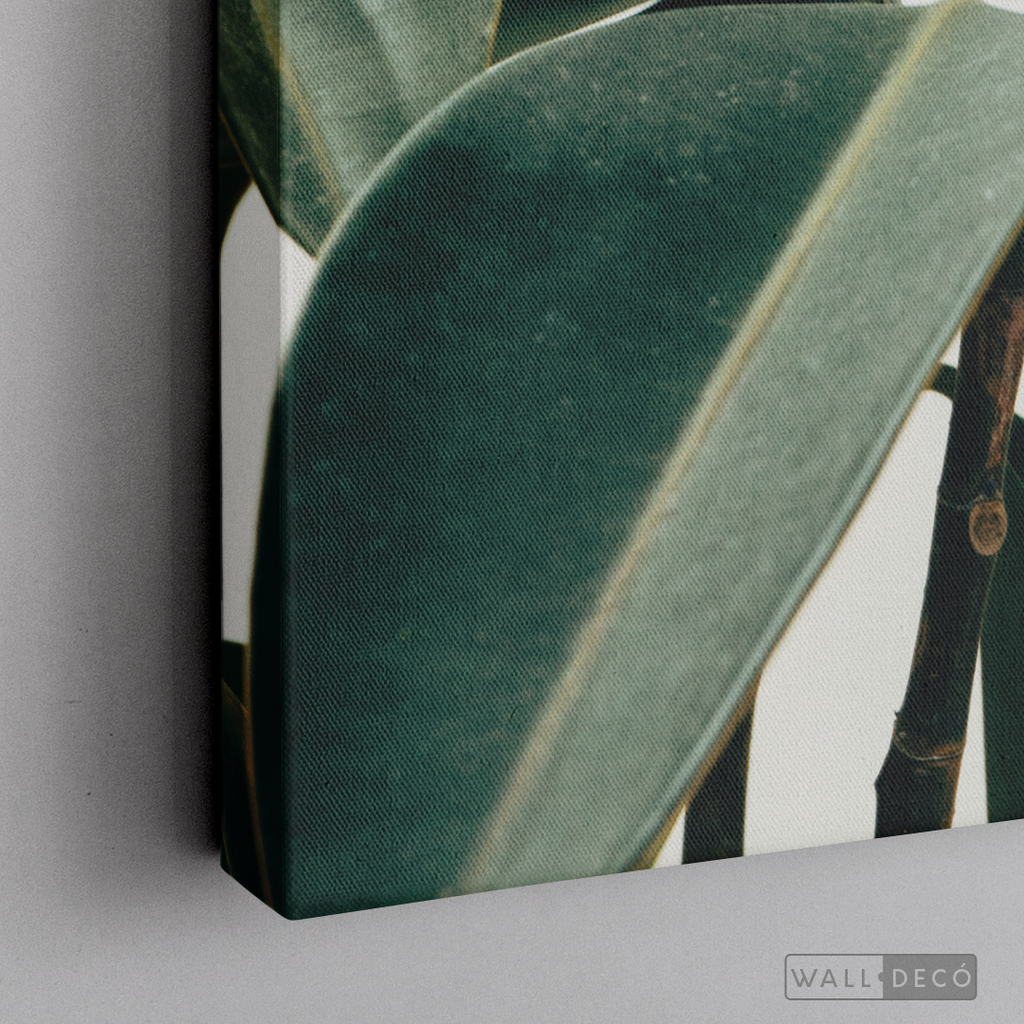 Cuadro Botánico CHEFLERA - WalldecóStore