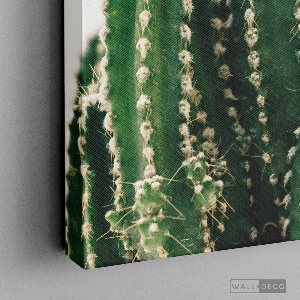 Cuadro Botánico CACTUS - WalldecóStore