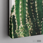Cuadro Botánico CACTUS - WalldecóStore