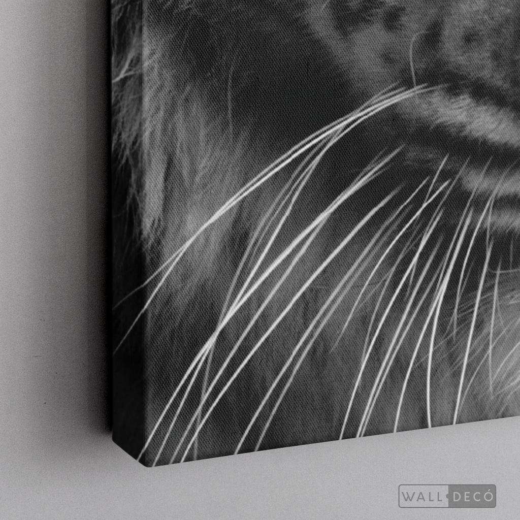 Cuadro Animales Tigre Blanco B/N