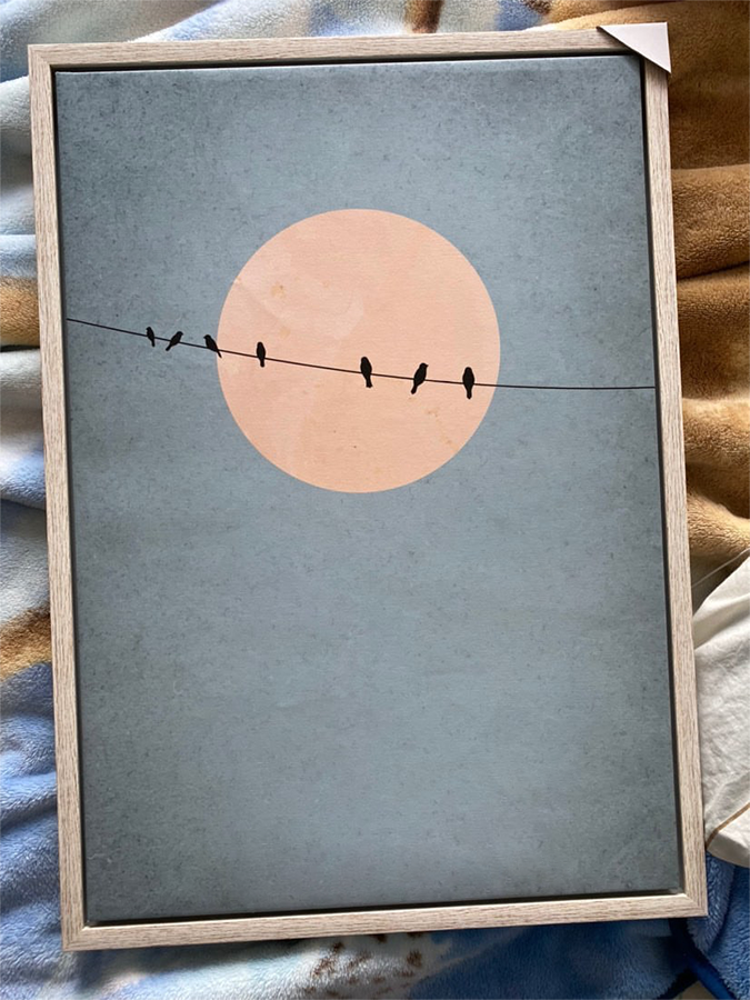 Cuadro Minimalista Pájaros en Azul