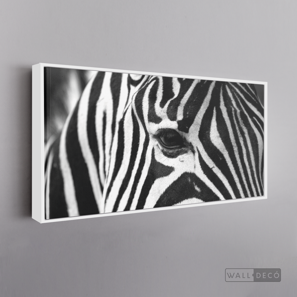 Cuadro Animales Cebra Boho Horizontal