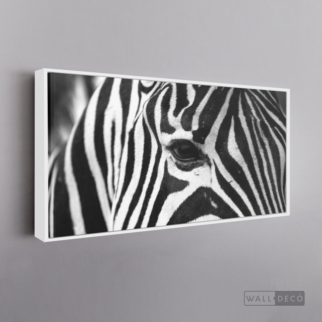 Cuadro Animales Cebra Boho Horizontal