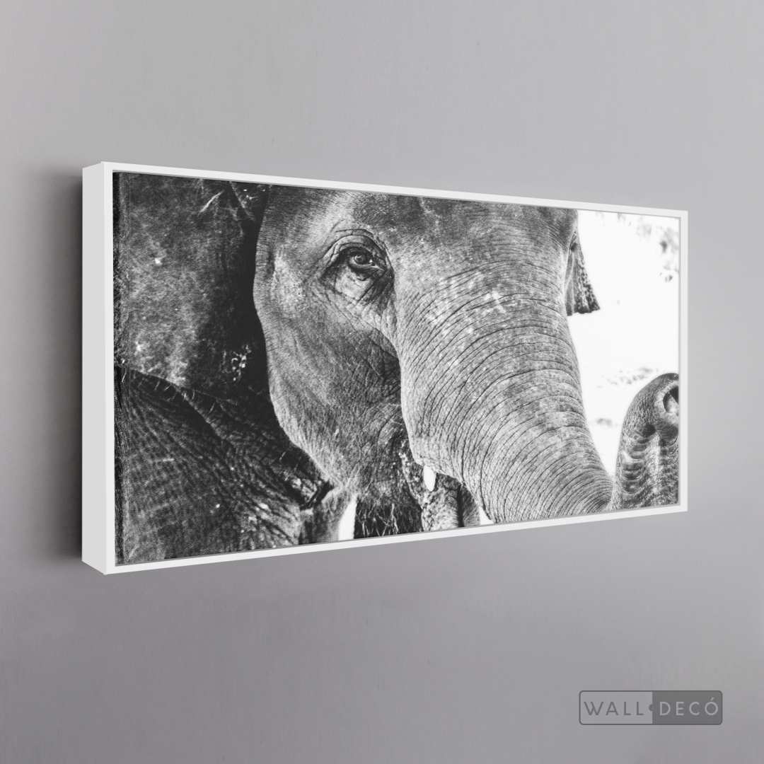 Cuadro Animales Elefante Boho Horizontal