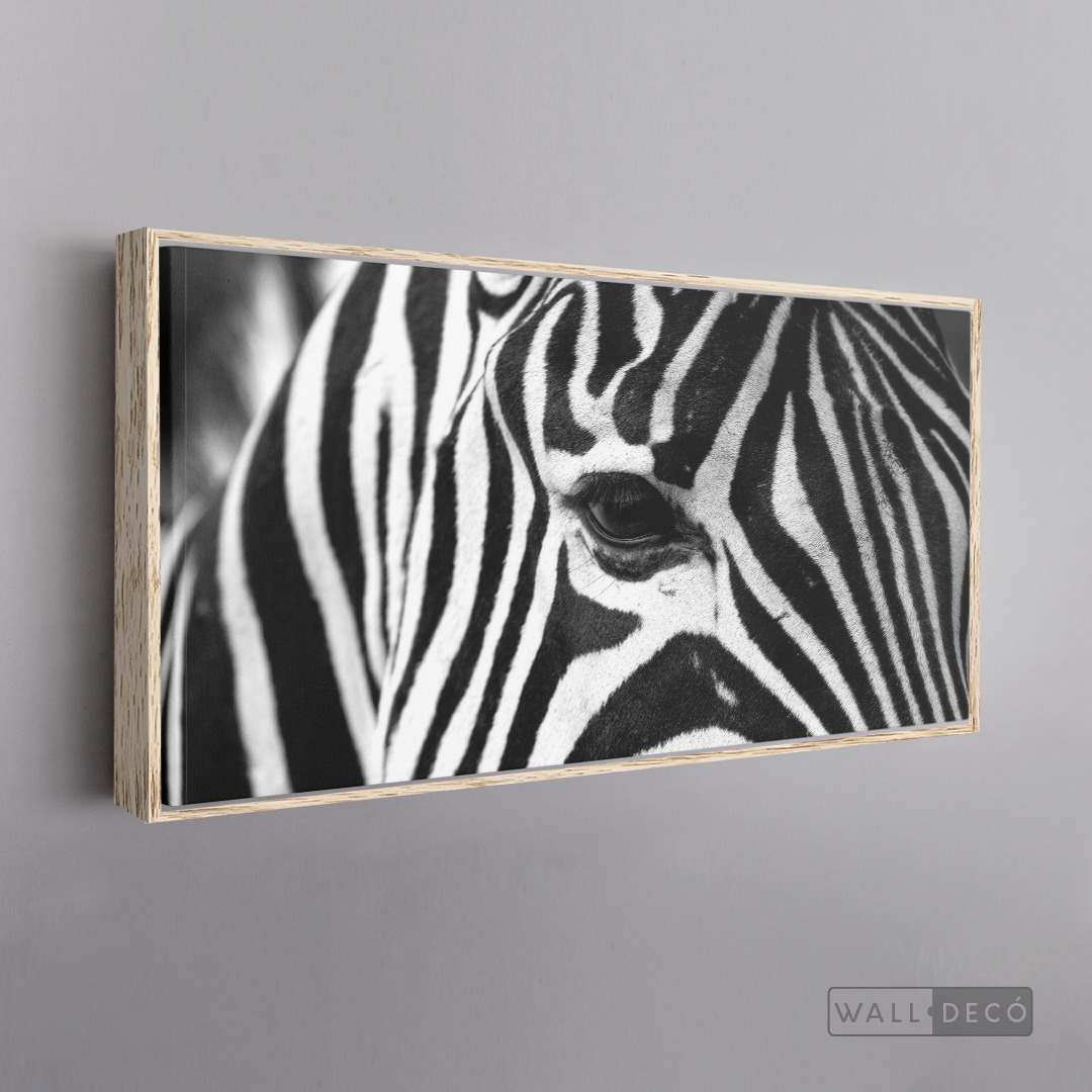 Cuadro Animales Cebra Boho Horizontal