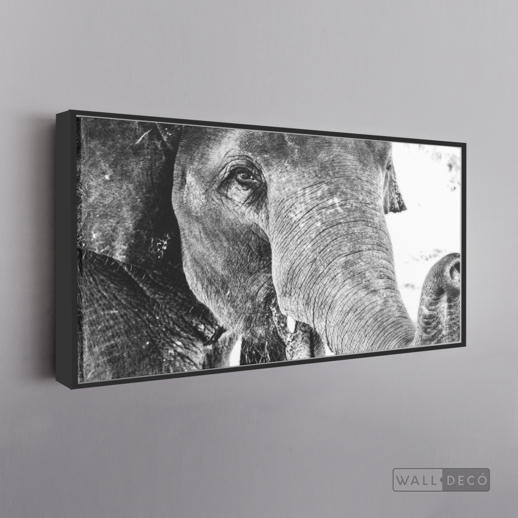Cuadro Animales Elefante Boho Horizontal