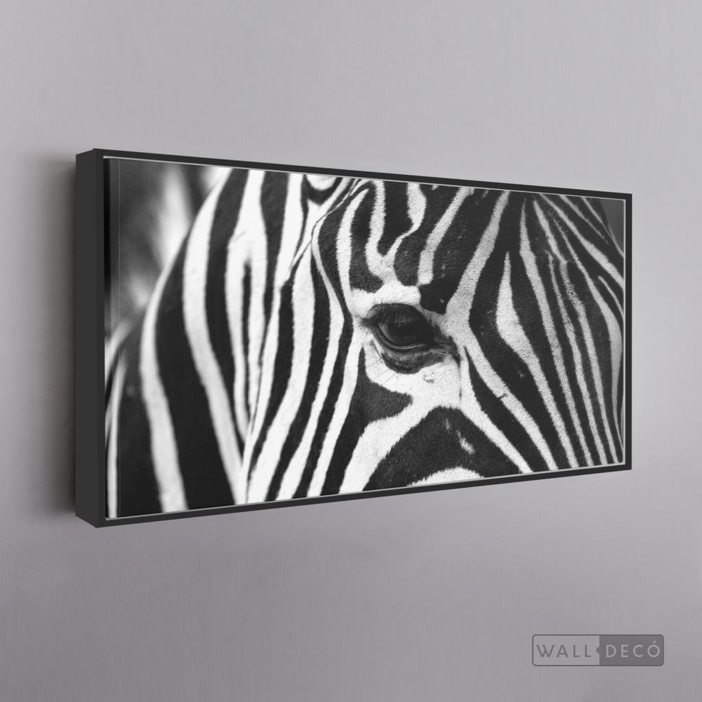 Cuadro Animales Cebra Boho Horizontal
