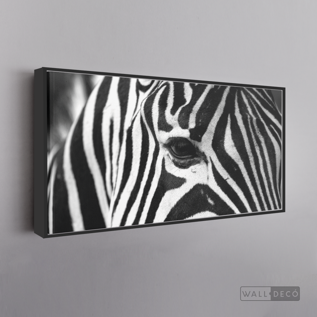 Cuadro Animales Cebra Boho Horizontal