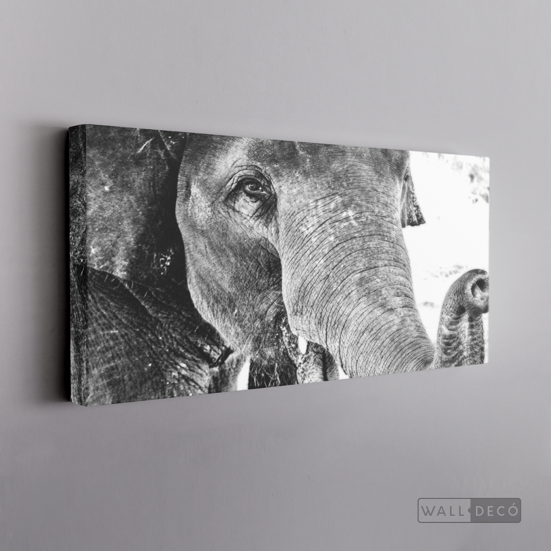 Cuadro Animales Elefante Boho Horizontal