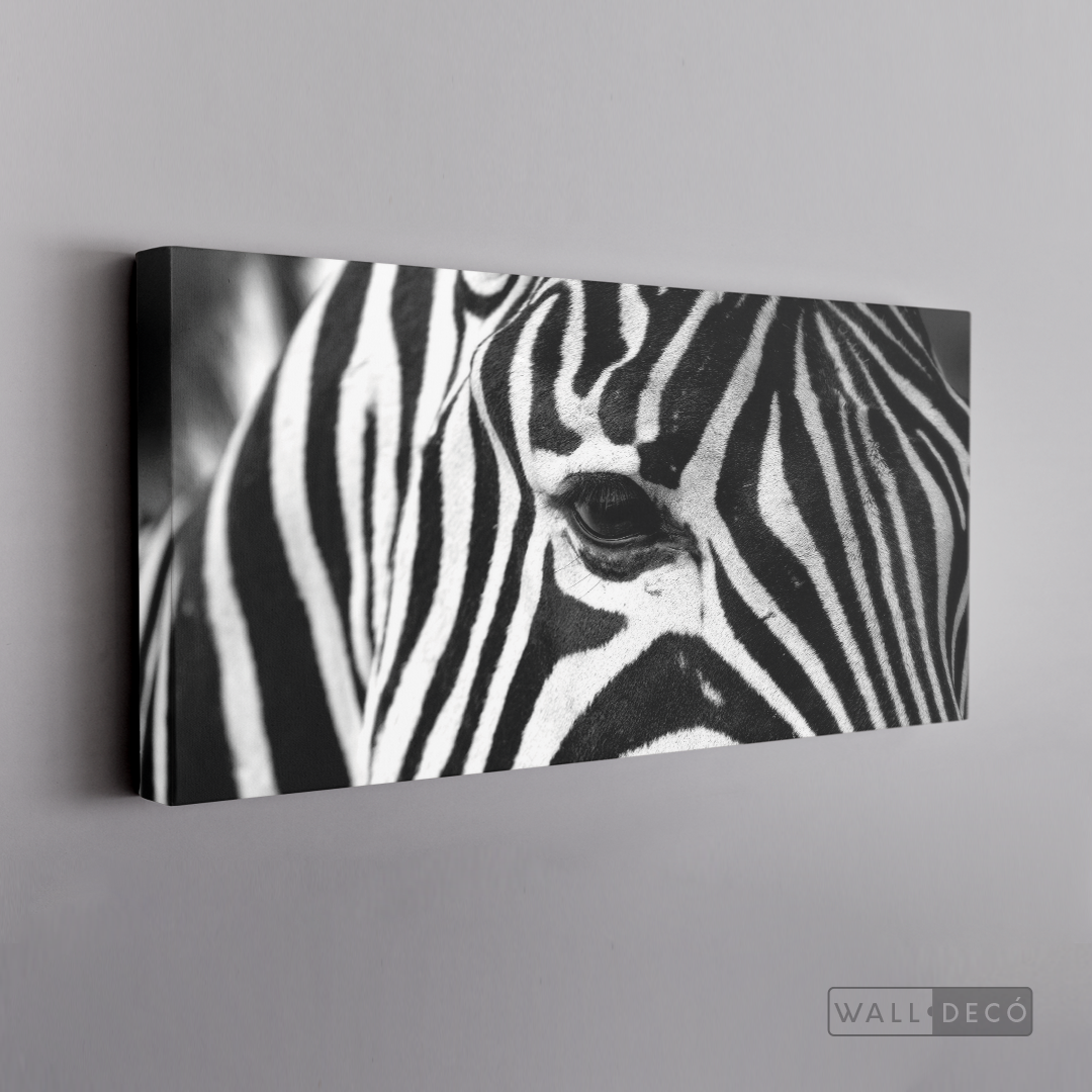 Cuadro Animales Cebra Boho Horizontal