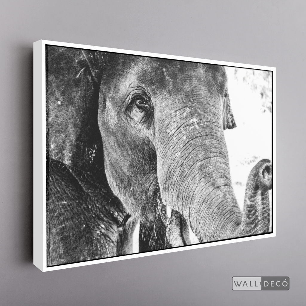 Cuadro Animales Elefante Boho Horizontal