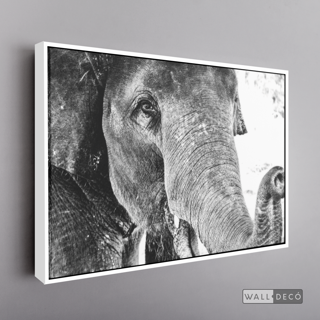 Cuadro Animales Elefante Boho Horizontal