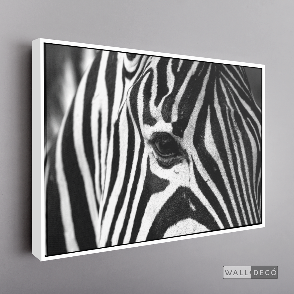Cuadro Animales Cebra Boho Horizontal
