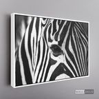 Cuadro Animales Cebra Boho Horizontal
