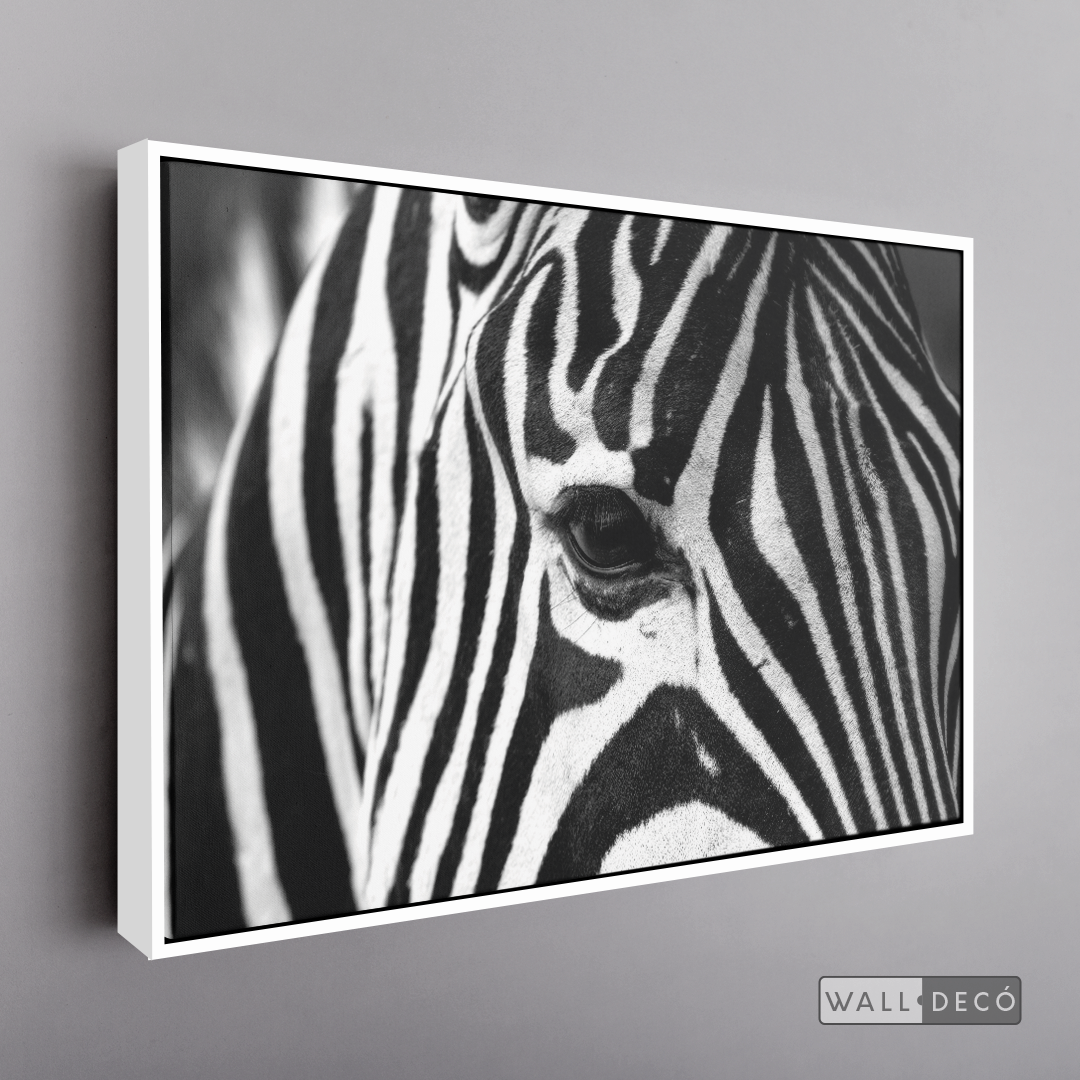 Cuadro Animales Cebra Boho Horizontal