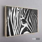 Cuadro Animales Cebra Boho Horizontal