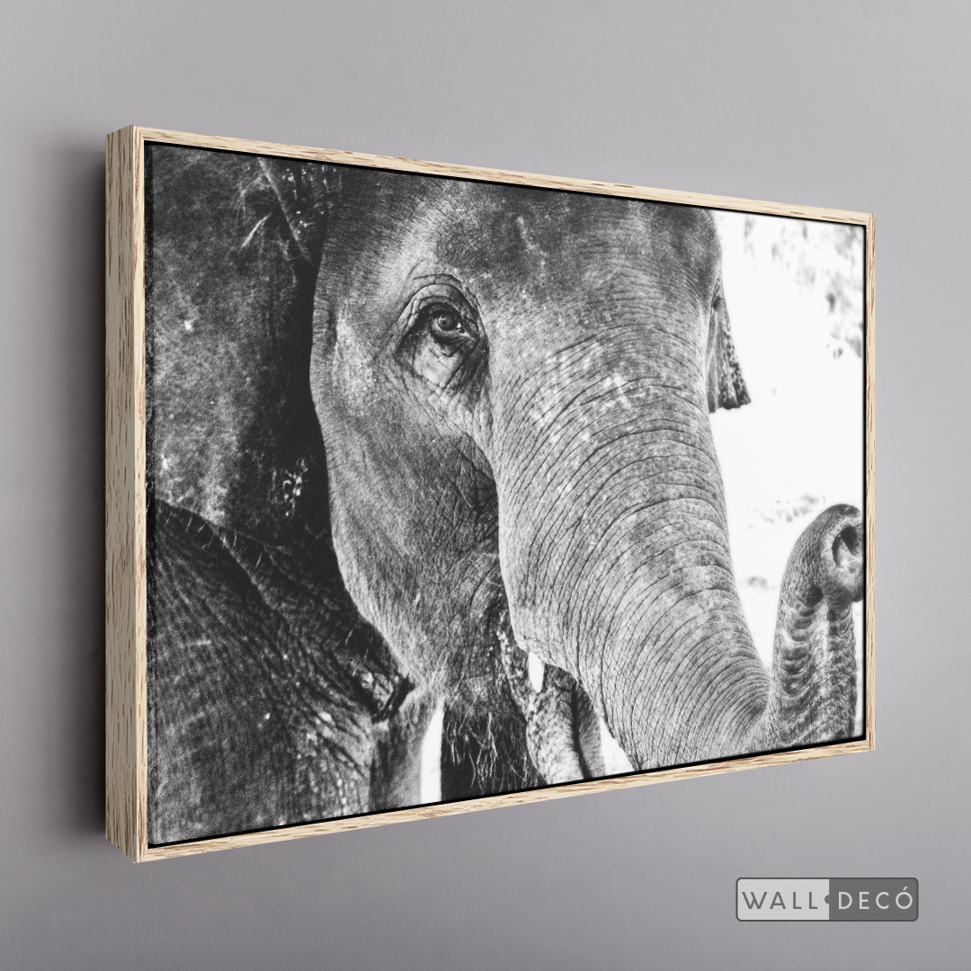 Cuadro Animales Elefante Boho Horizontal