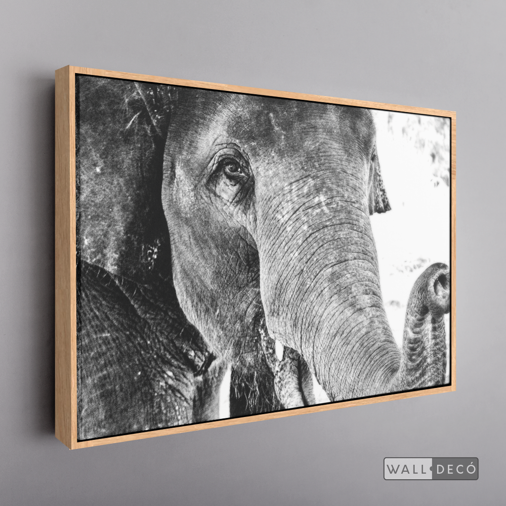 Cuadro Animales Elefante Boho Horizontal