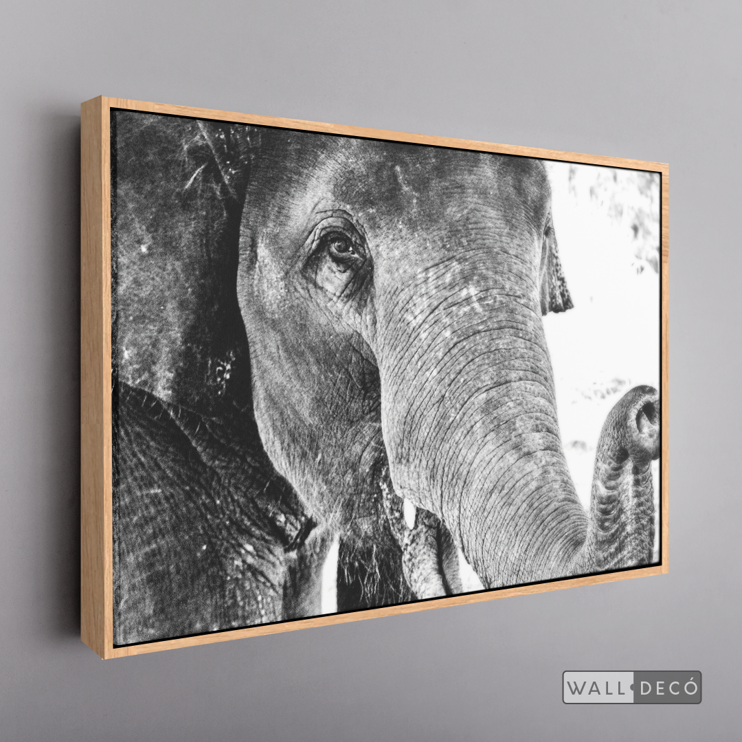 Cuadro Animales Elefante Boho Horizontal