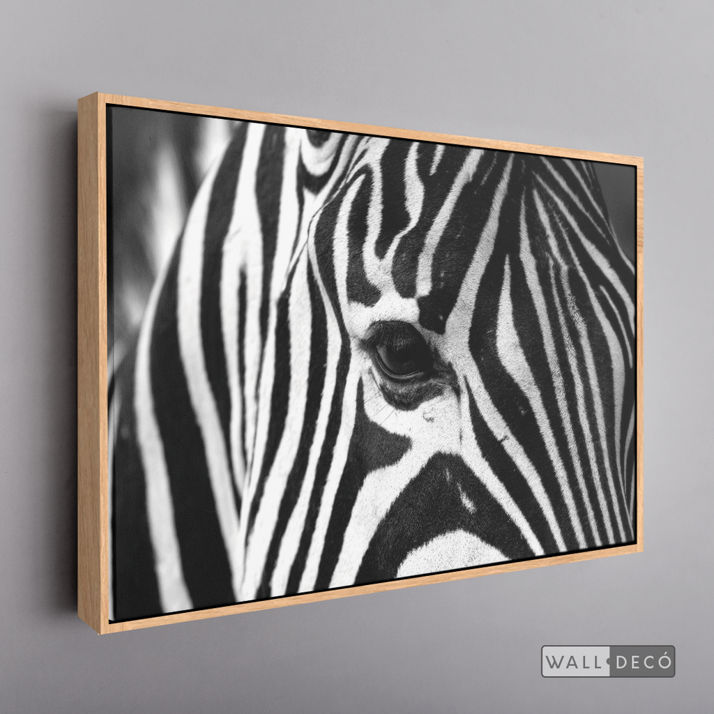 Cuadro Animales Cebra Boho Horizontal