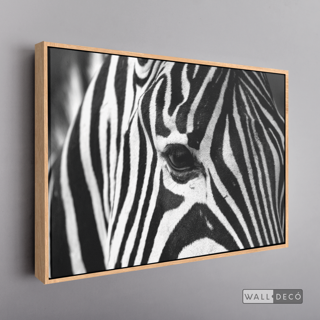 Cuadro Animales Cebra Boho Horizontal
