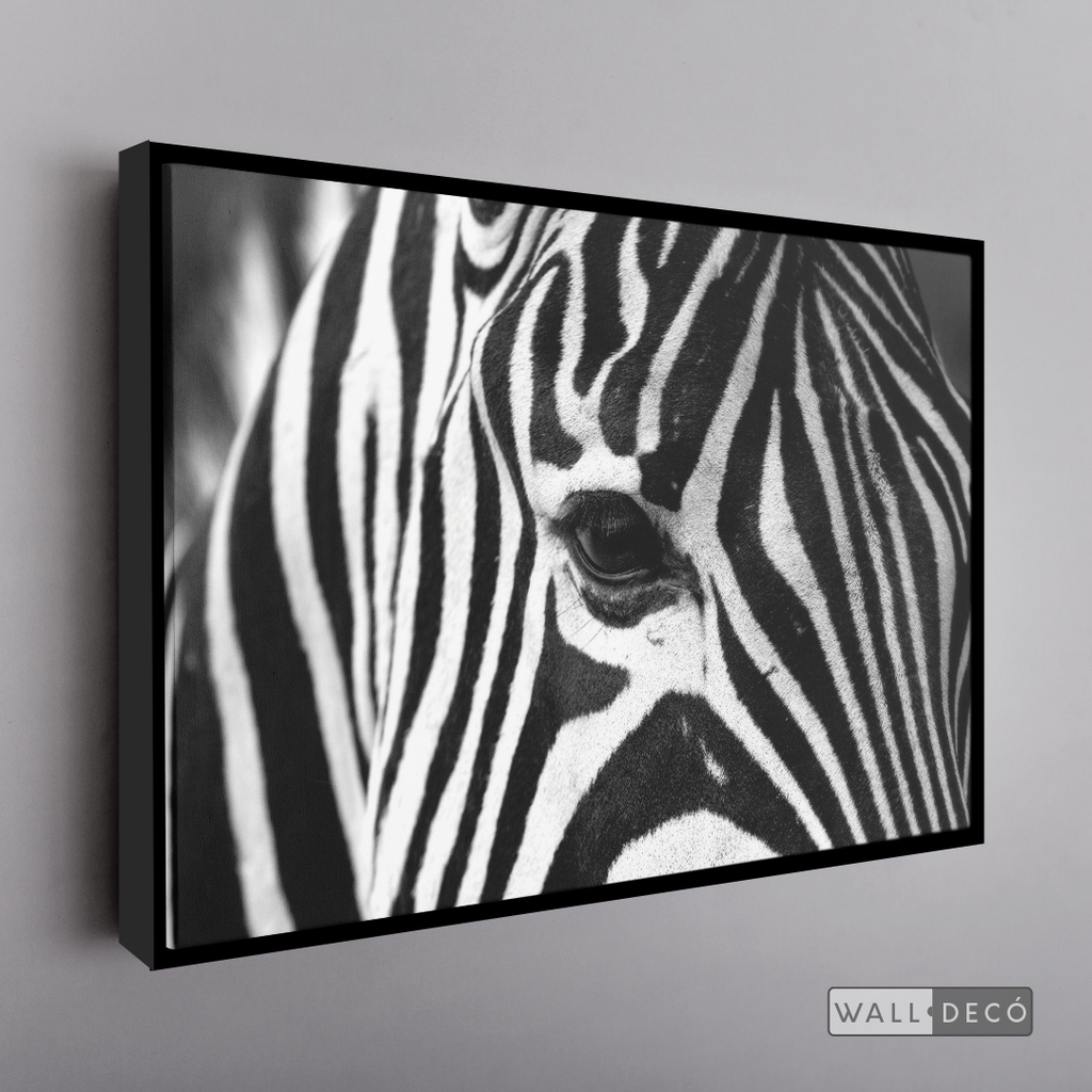 Cuadro Animales Cebra Boho Horizontal