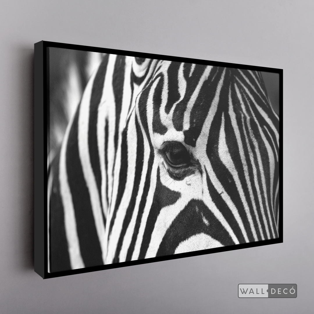 Cuadro Animales Cebra Boho Horizontal