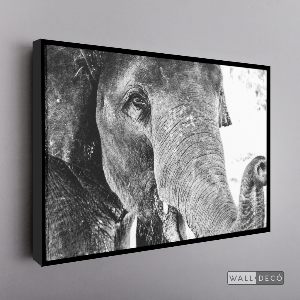 Cuadro Animales Elefante Boho Horizontal