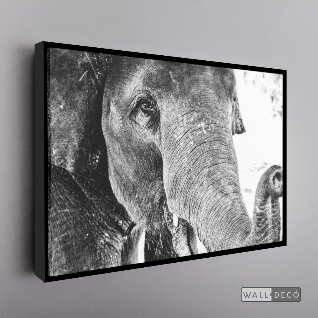 Cuadro Animales Elefante Boho Horizontal