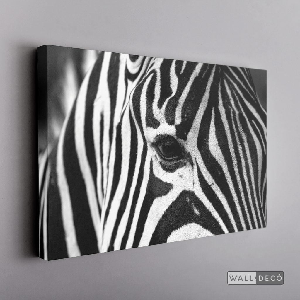 Cuadro Animales Cebra Boho Horizontal