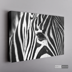 Cuadro Animales Cebra Boho Horizontal