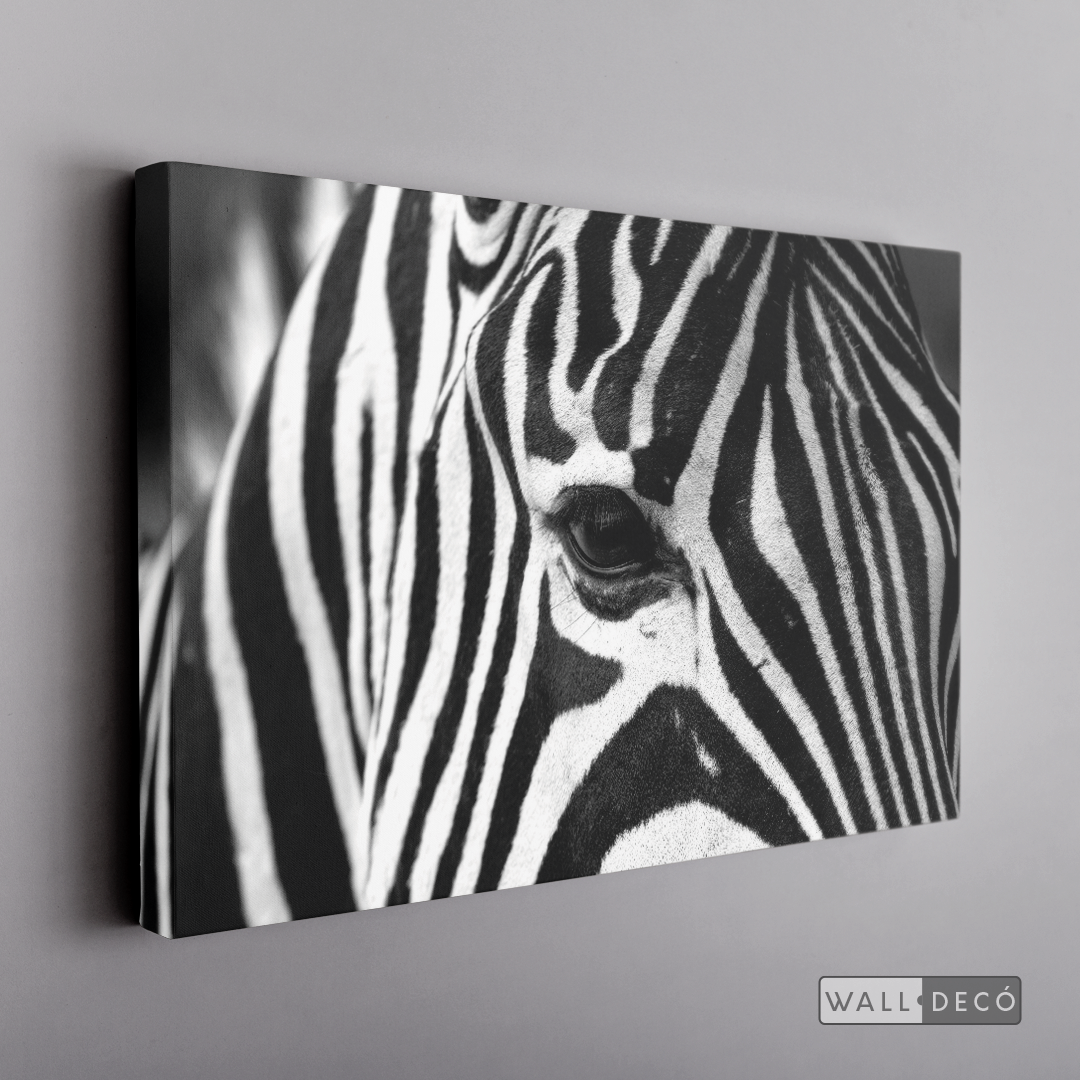 Cuadro Animales Cebra Boho Horizontal