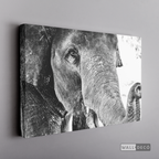 Cuadro Animales Elefante Boho Horizontal