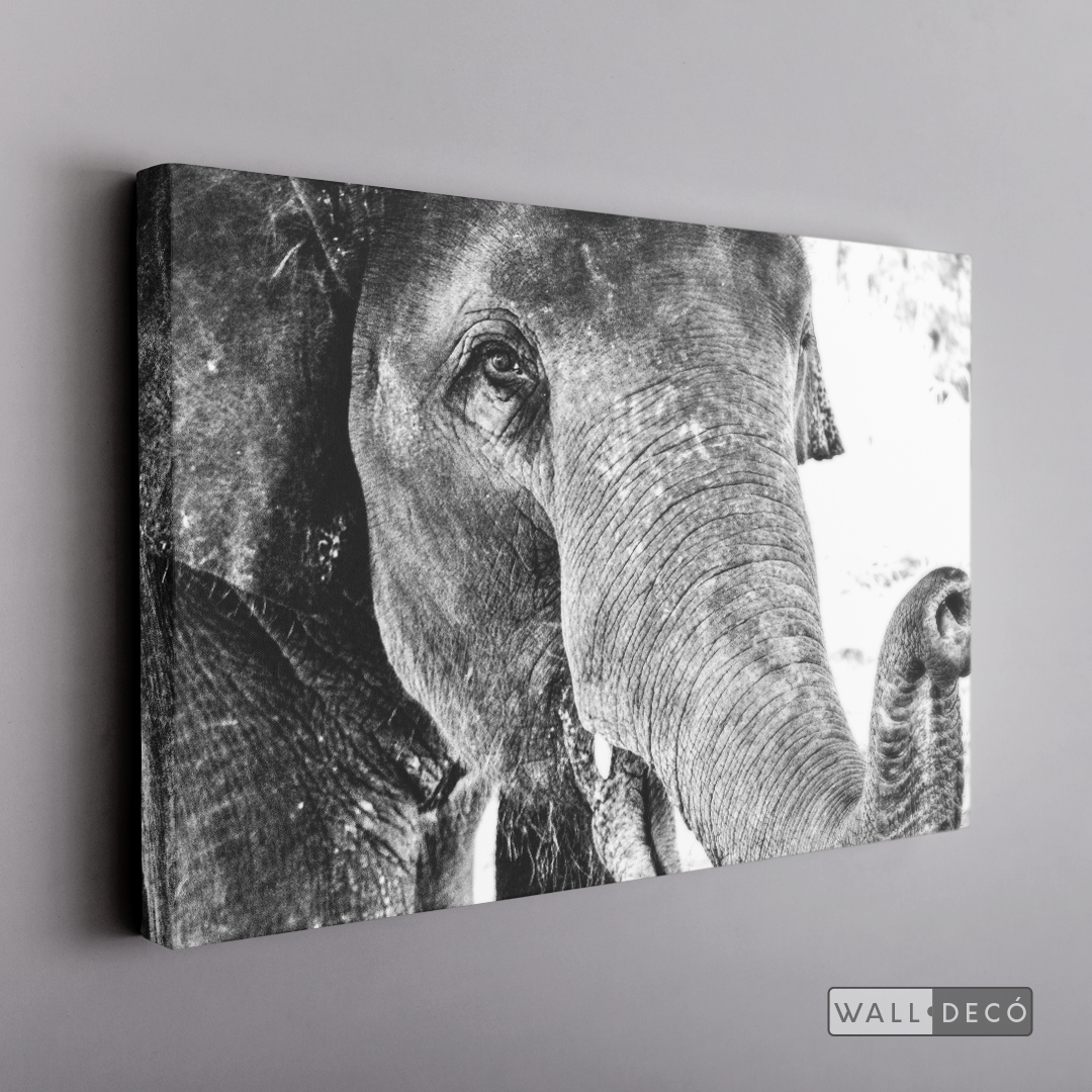 Cuadro Animales Elefante Boho Horizontal