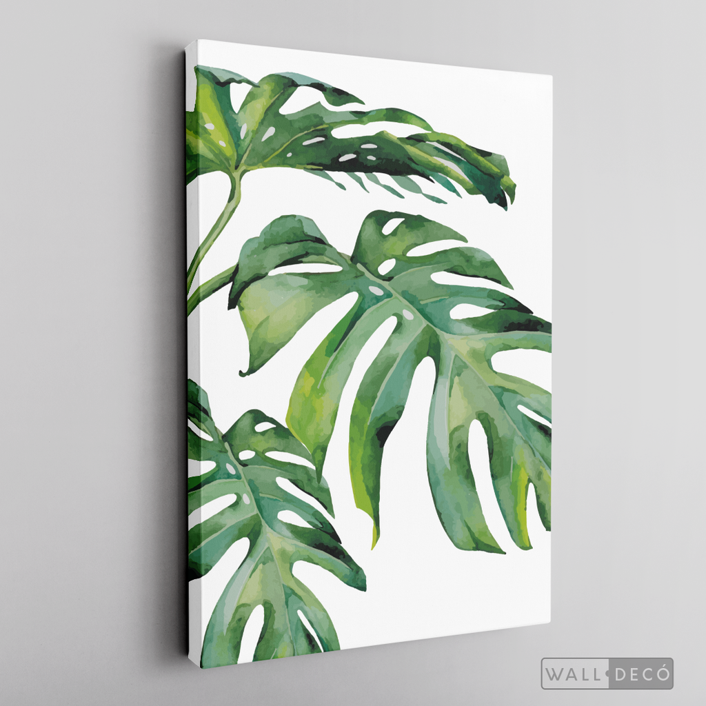Cuadro Botánico Monstera Deliciosa